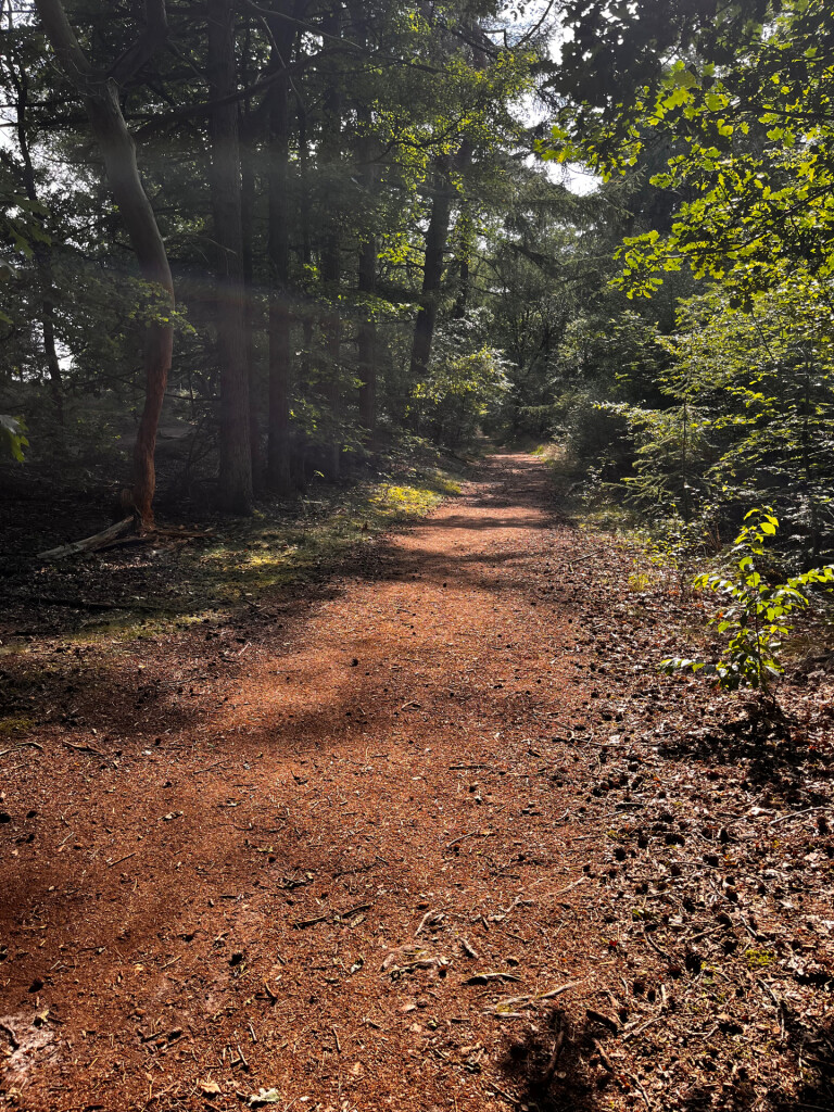 Groot rondje Bakkeveense Duinen