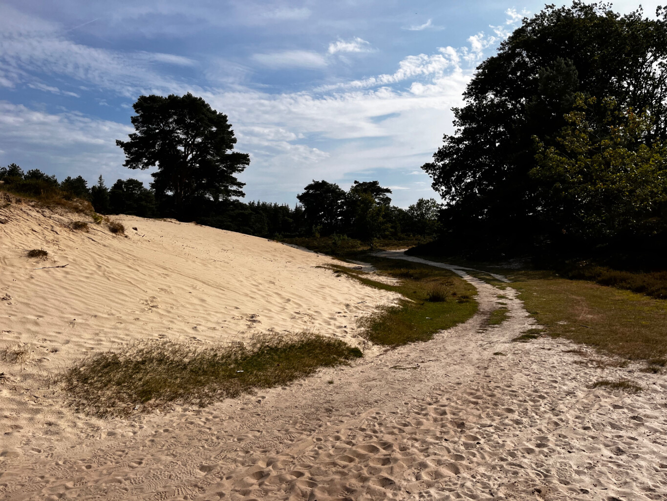 Groot rondje Bakkeveense Duinen