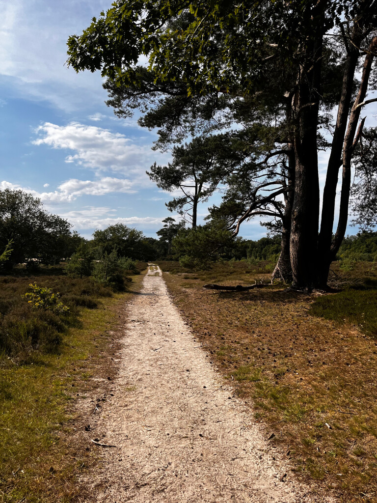Groot rondje Bakkeveense Duinen