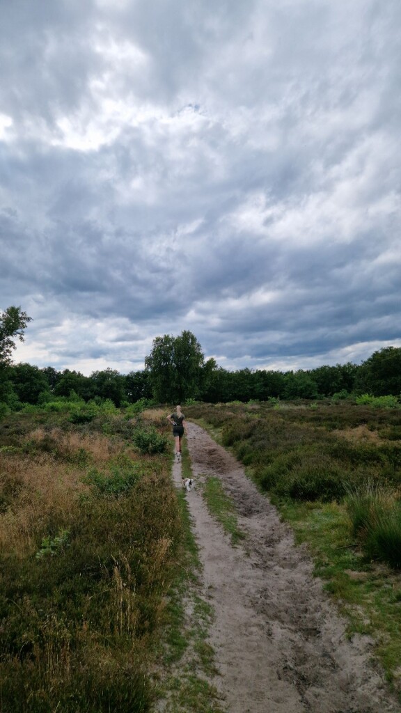 Wandelroute Pieterberg