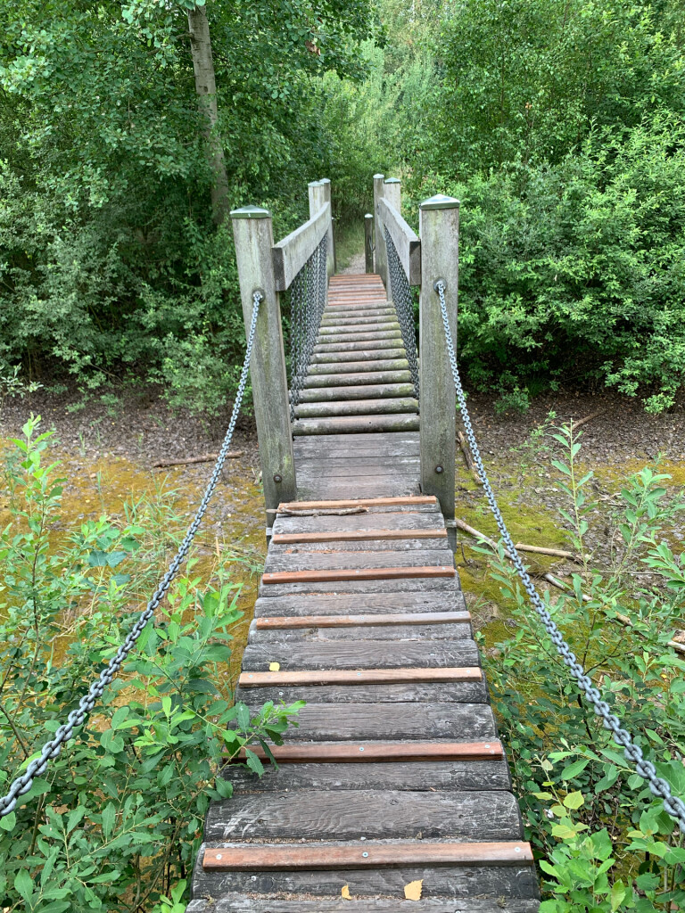 Heere Peel (America)