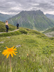 Schafberg Hüsli