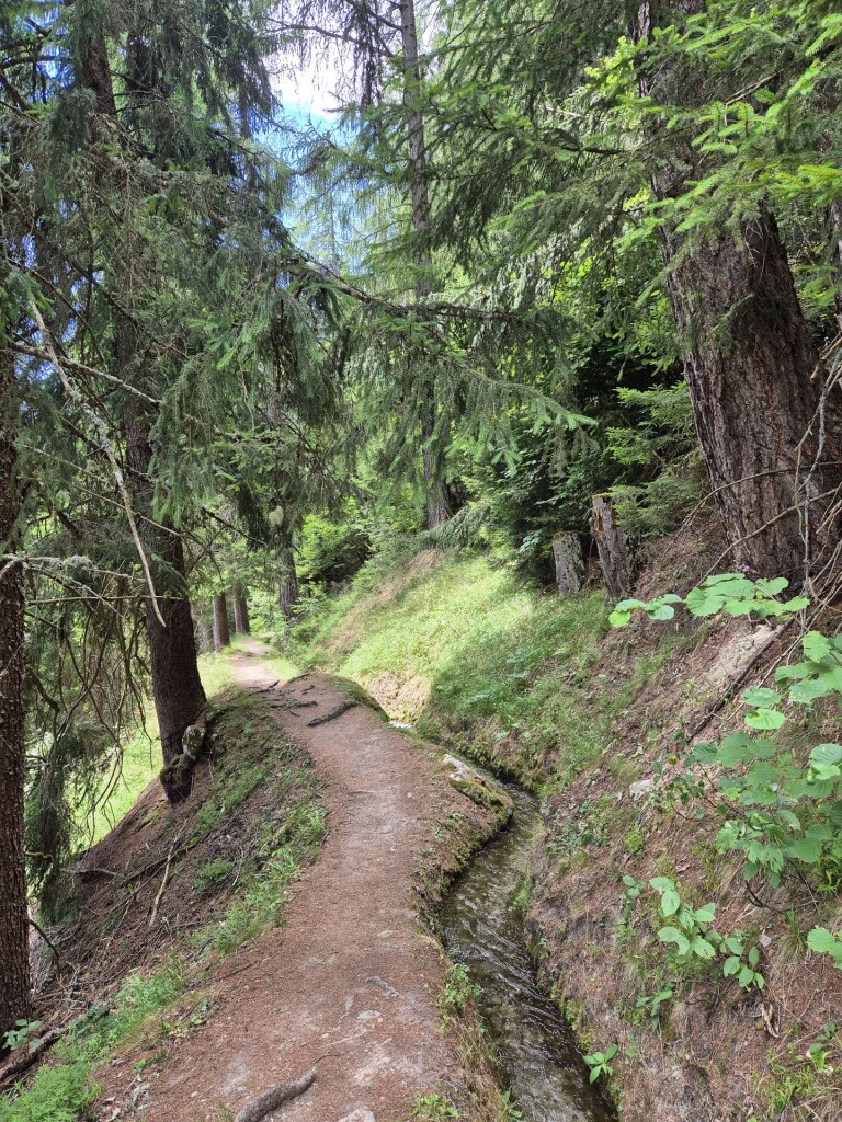 Suonenweg Fiescher Wyssa