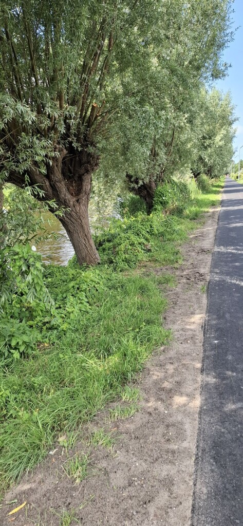 Nolletjesroute (geel)