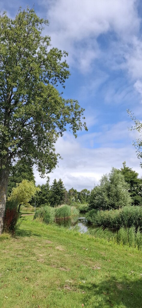 Nolletjesroute (geel)