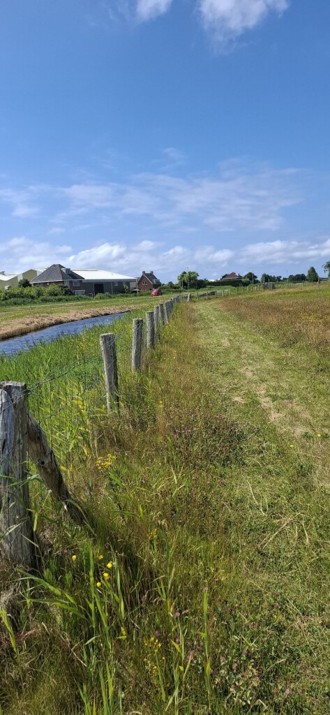 Nolletjesroute (geel)