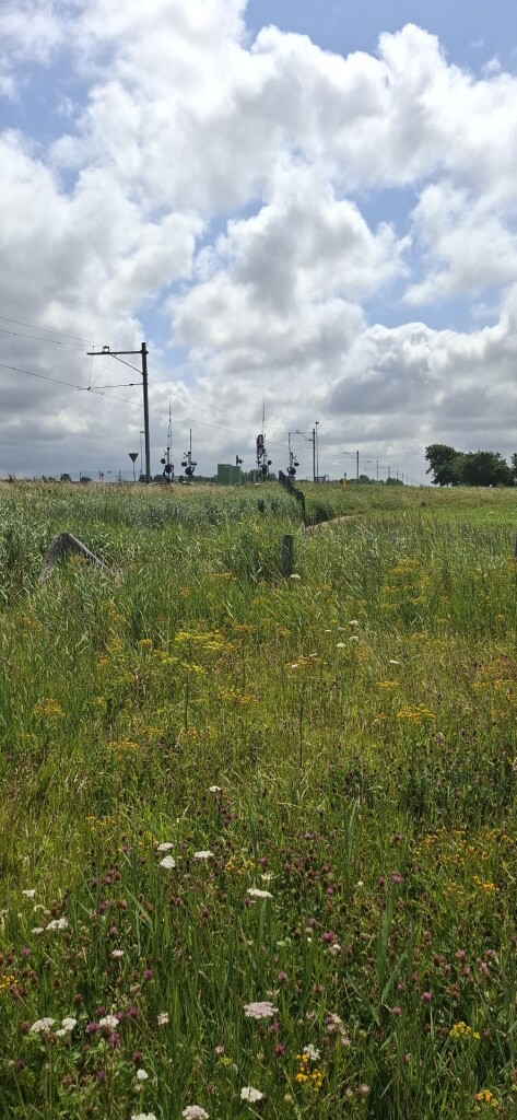 Nolletjesroute (geel)