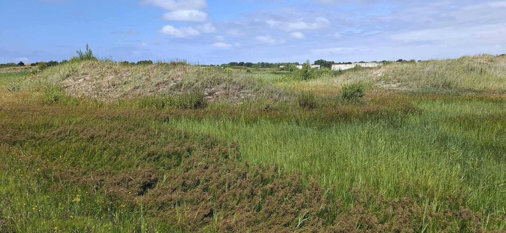 Nolletjesroute (geel)