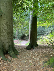 Landgoederen Eelde