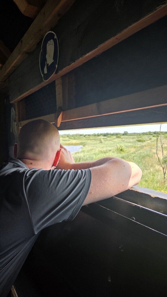 Diependal vogelkijkhut en scherm