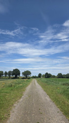 Diependal vogelkijkhut en scherm