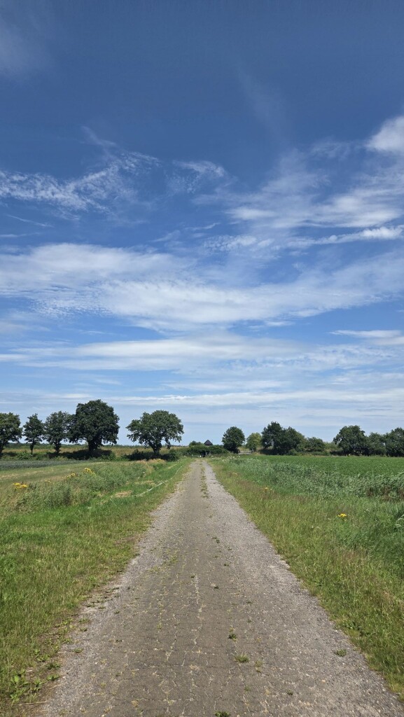 Diependal vogelkijkhut en scherm