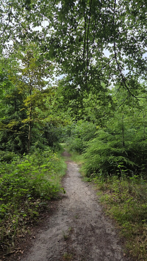 Wandelroute Heide en Vennen