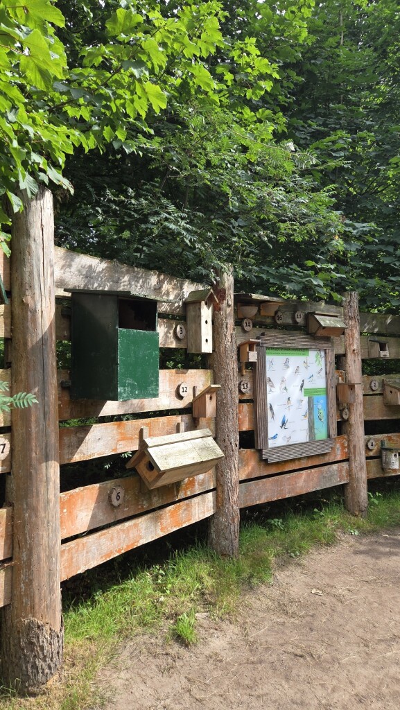 Wandelroute Heide en Vennen