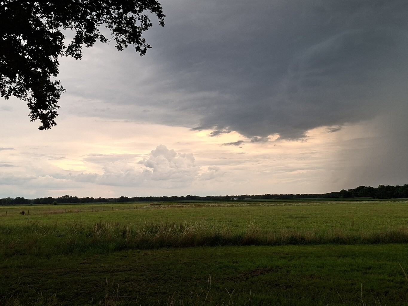 Klaverblad Sleen Westerveld