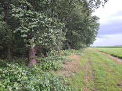 Westerveld · Klaverblad Sleen etappe 2