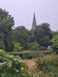 Westerveld · Klaverblad Sleen etappe 2