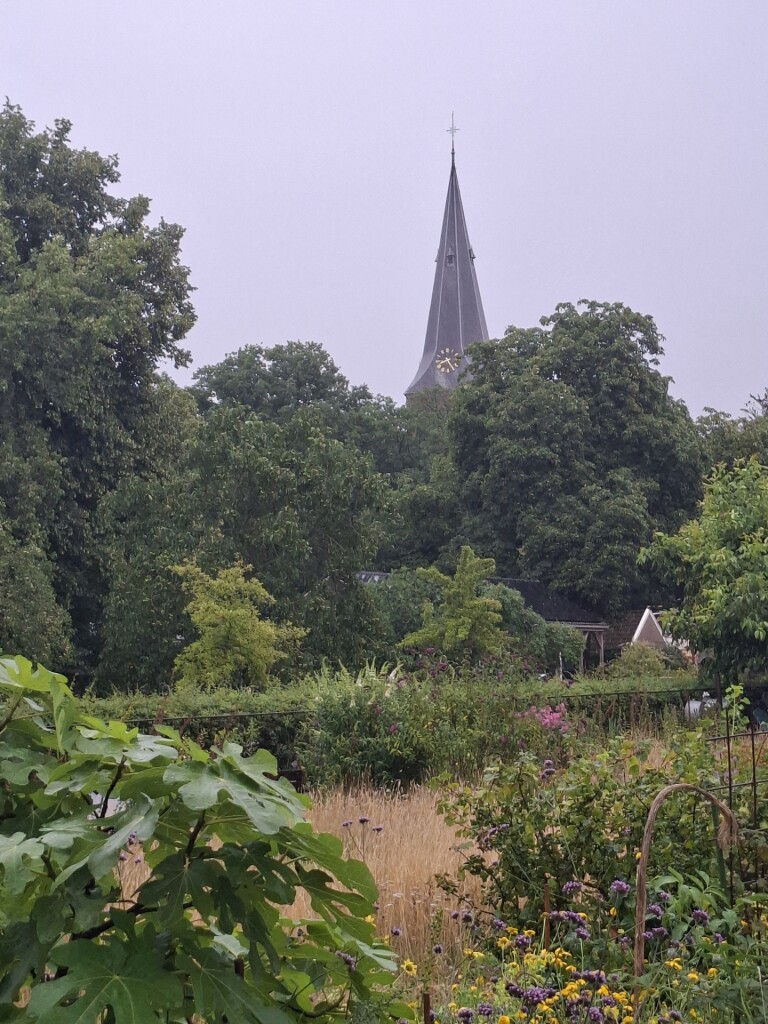 Westerveld · Klaverblad Sleen etappe 2