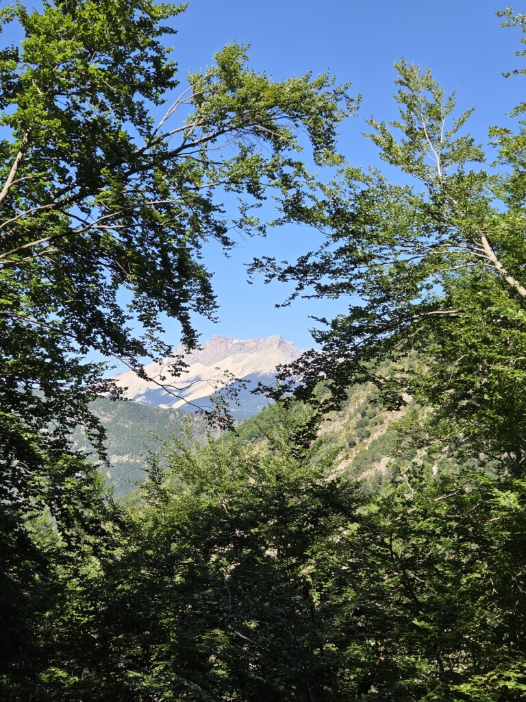 Sommet Montagne d'Oule