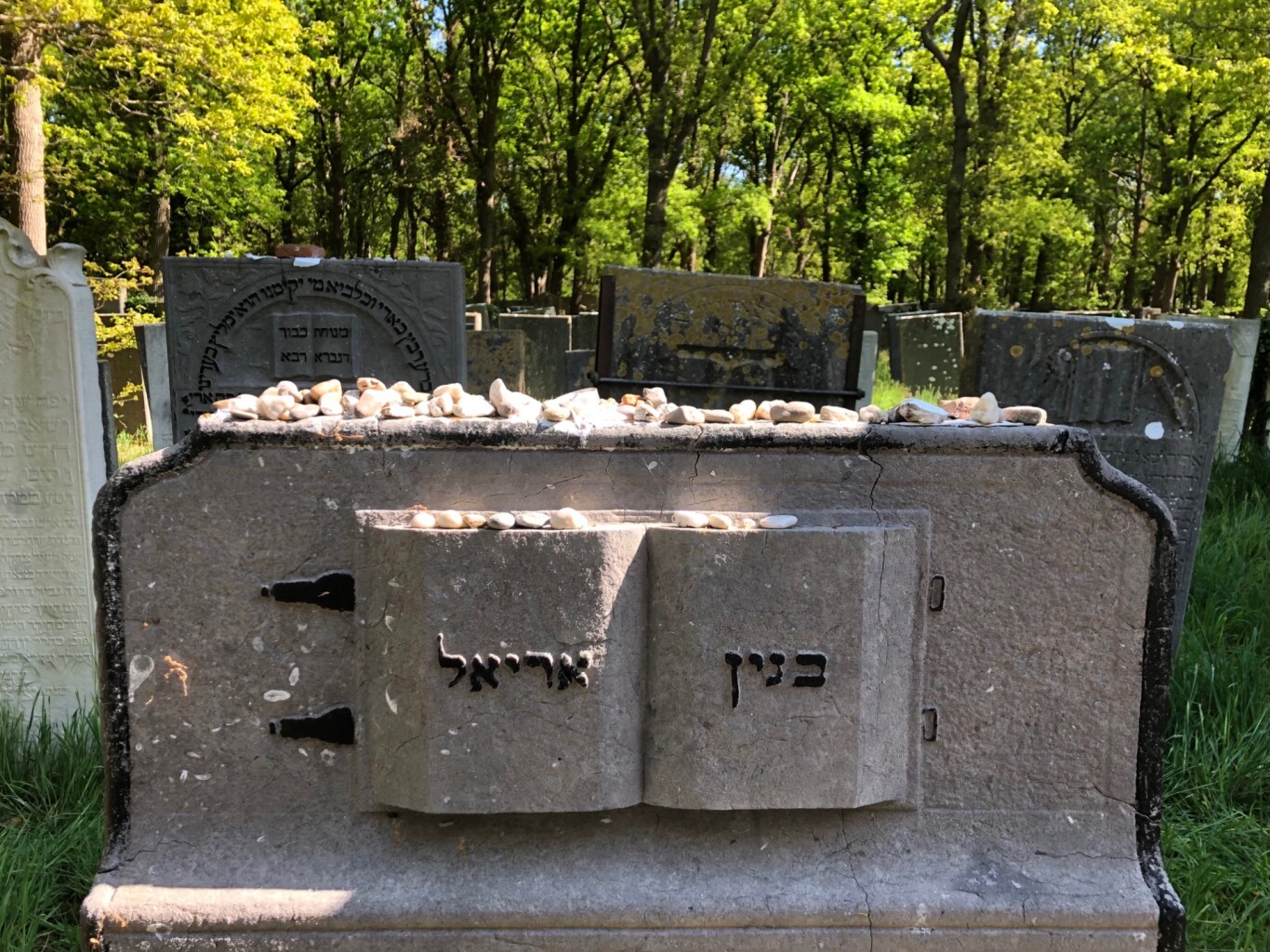 Muiderberg - Station Naarden-Bussum · Westerborkpad etappe 4