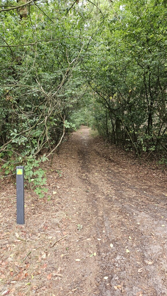 Rondje Galgenberg - Astense Aa vanuit Liessel