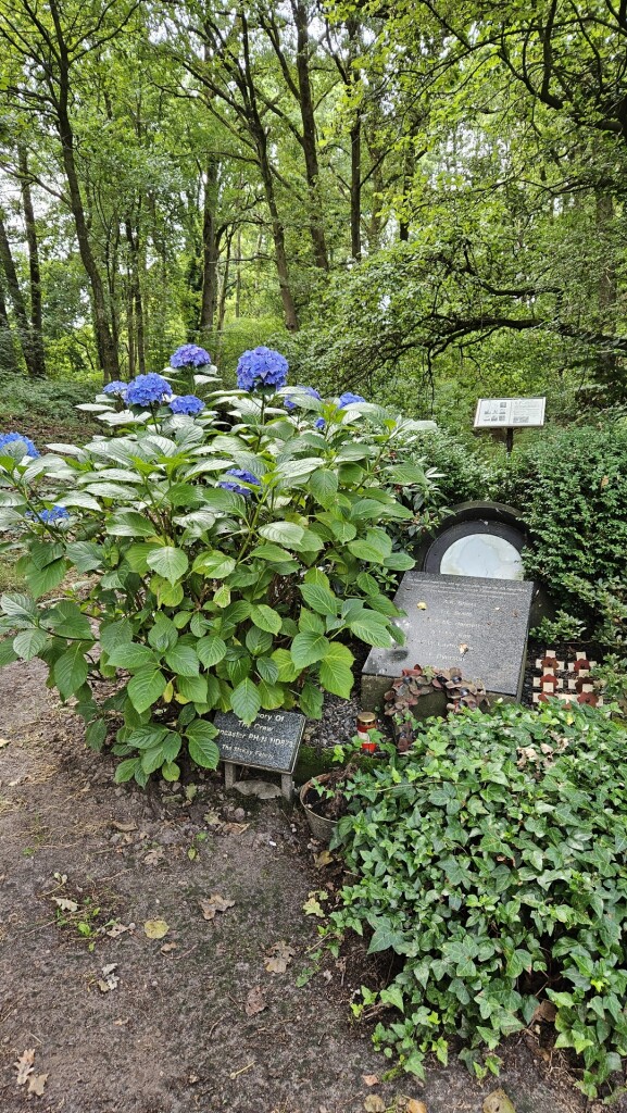 Rondje Galgenberg - Astense Aa vanuit Liessel