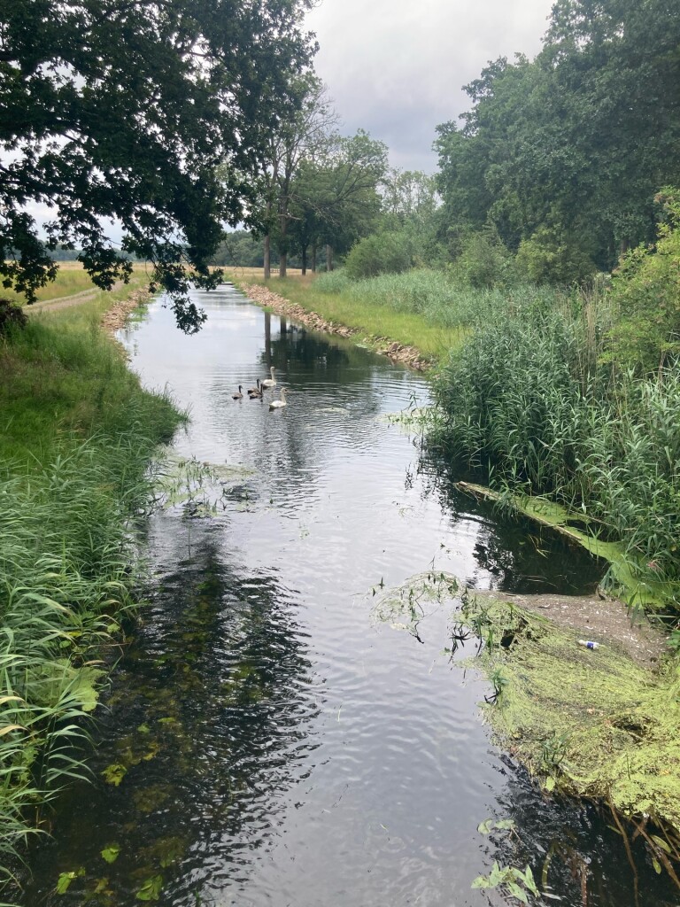 Elsgraven - Blauw