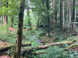 Rosport - Moersdorf · Mullerthal Trail etappe 2