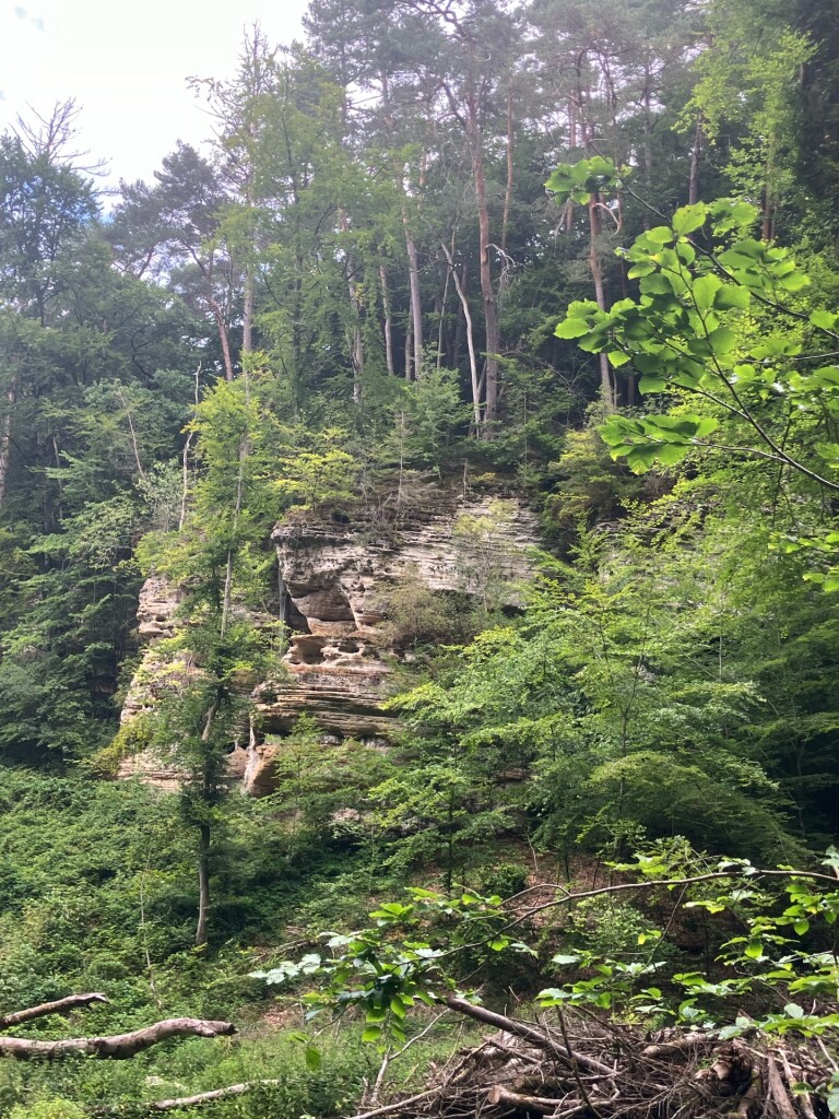 Rosport - Moersdorf · Mullerthal Trail etappe 2