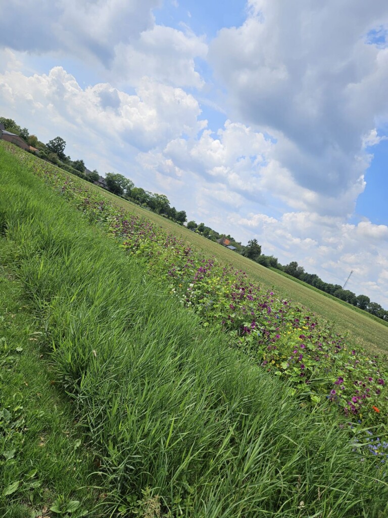 Vrolijke jager - jacobushof