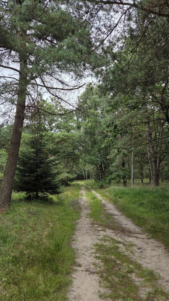 Wandelroute Kibbelhoek