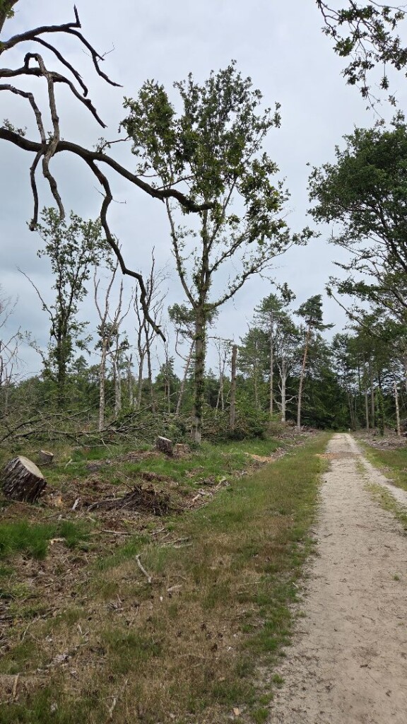 Wandelroute Kibbelhoek
