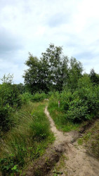 Wandelroute Kibbelhoek