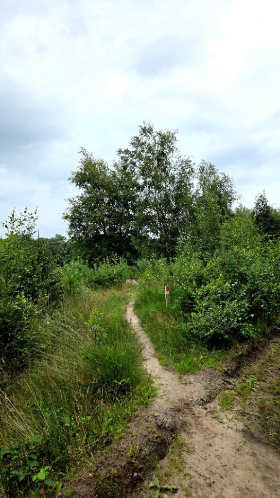 Wandelroute Kibbelhoek