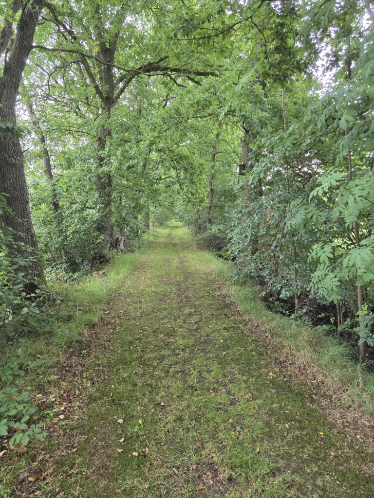 Noardlike Fryske Wâlden