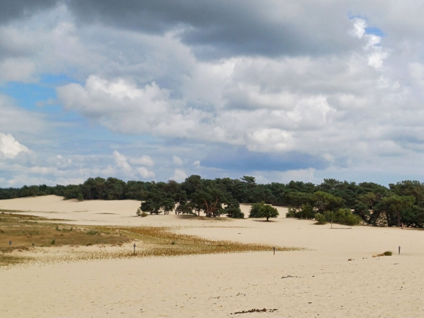 Wandelroute Bosch en Duin, vlak bij Udenhout