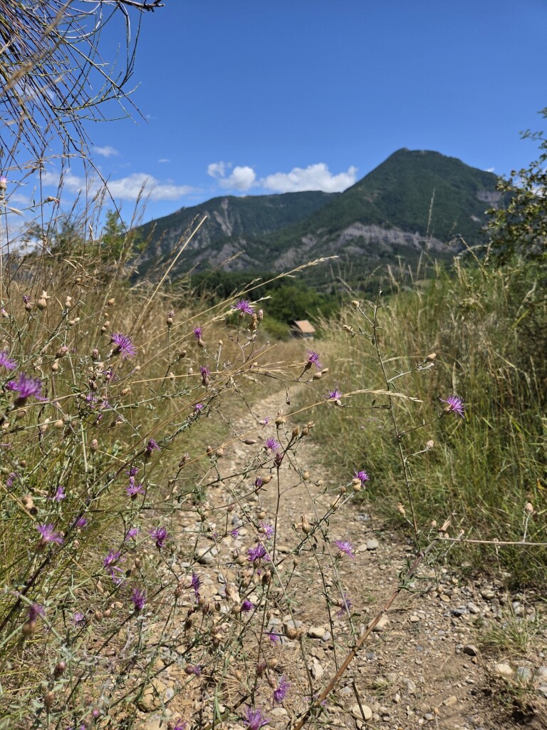 Rondje Oze vanaf camping Solaire