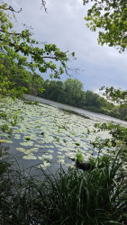 Wandelroute Dommelbeemden Dommeldal