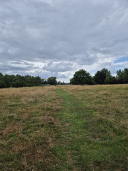 Wandelroute Dommelbeemden Dommeldal