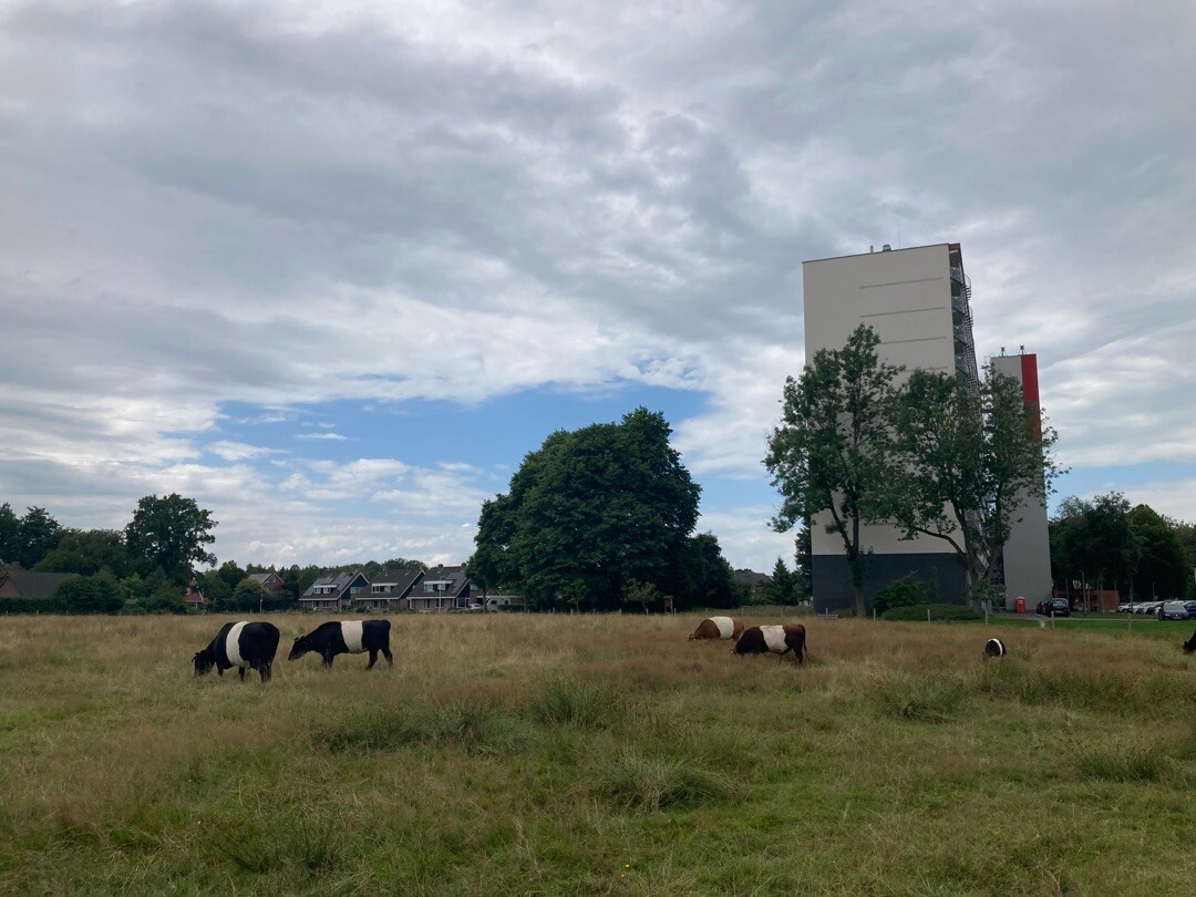 Boswachterspad Deurzerdiep 
