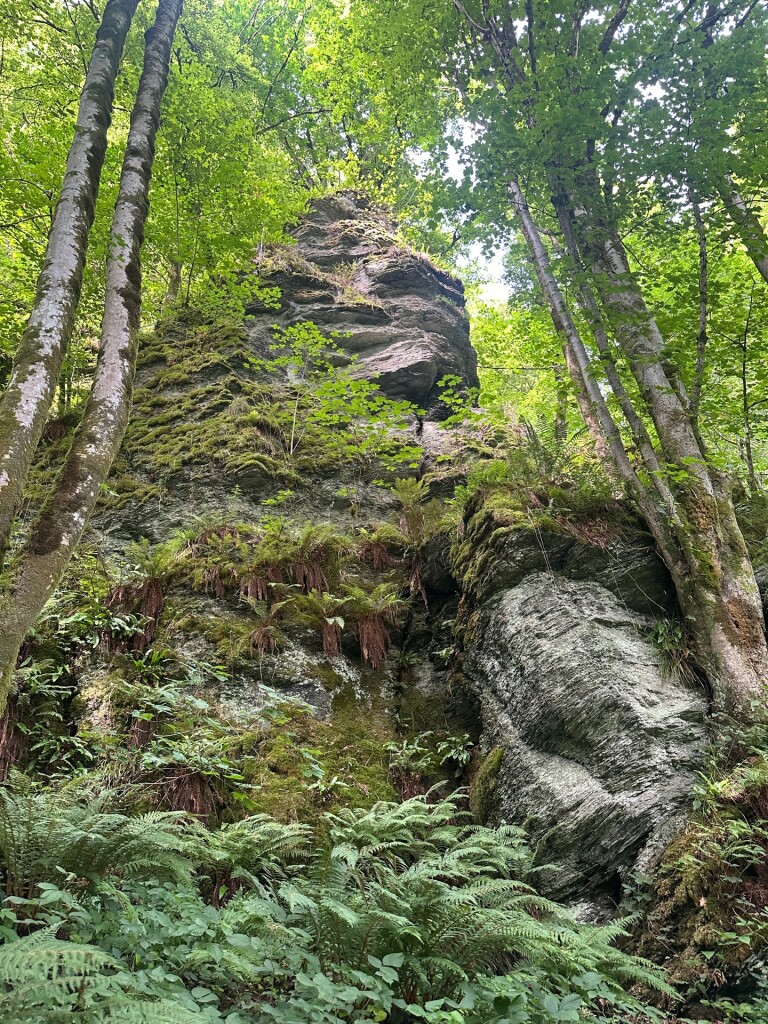 Laddertjeswandeling in Rochehaut
