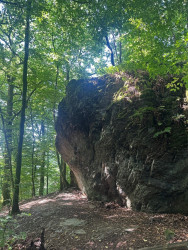 Laddertjeswandeling in Rochehaut