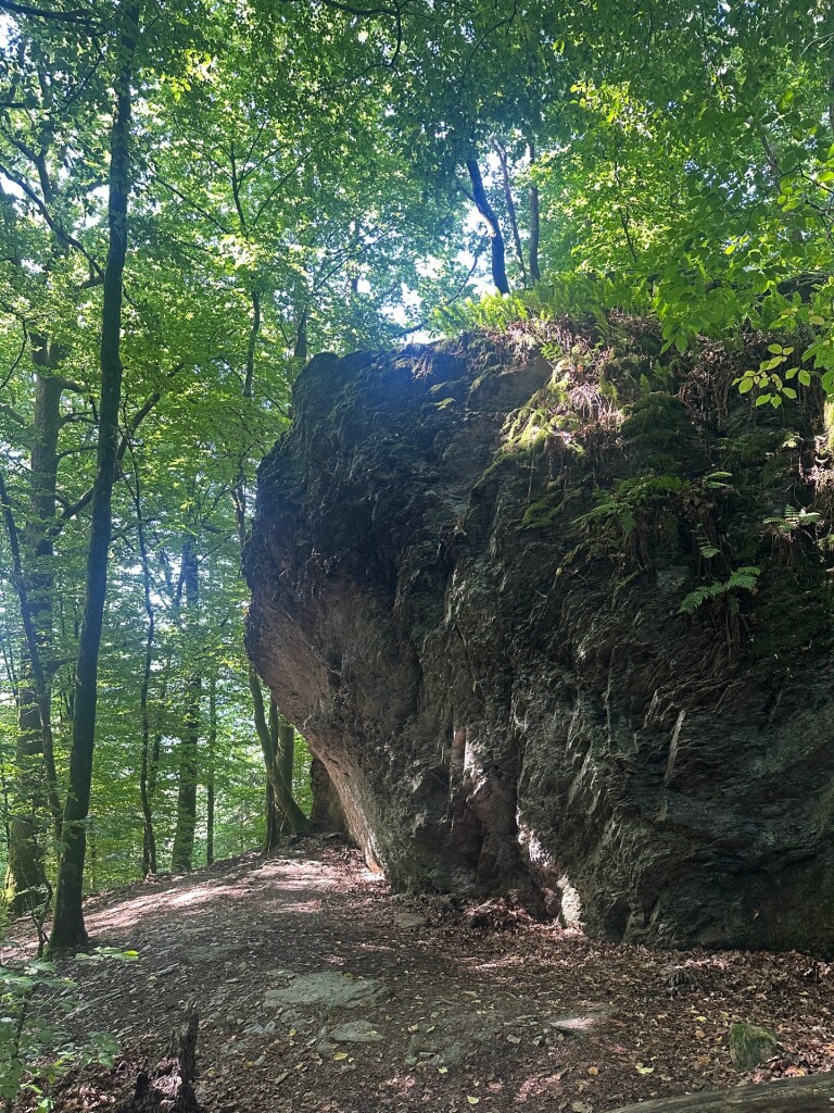 Laddertjeswandeling in Rochehaut