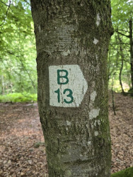 Mullerthal B13