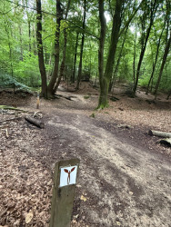 Beek - Kranenburg (D) · Walk of Wisdom etappe 2