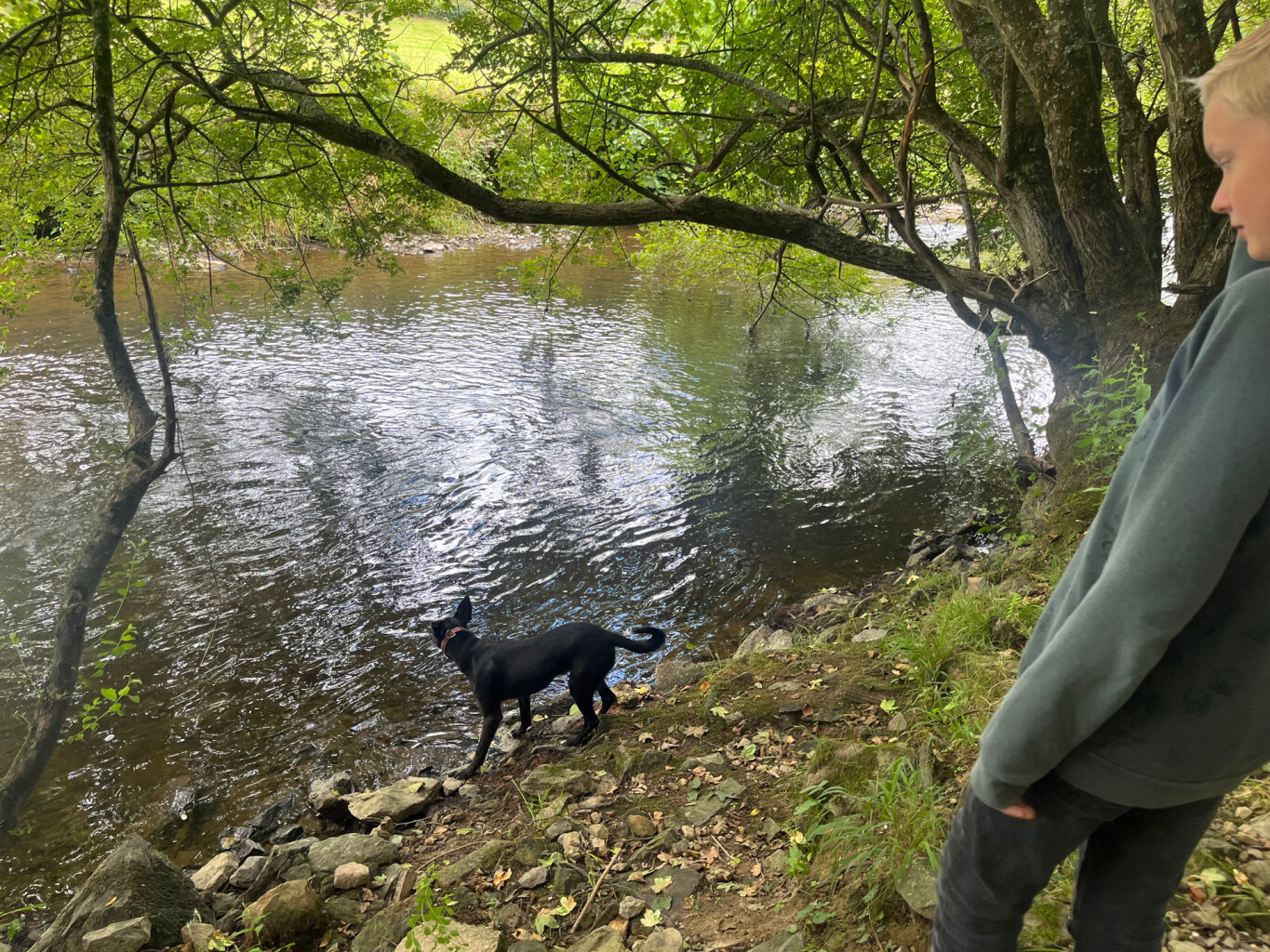 Bos, weg en water, mooi!