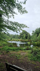Wandelroute Sellingerbossen en Ter Borg