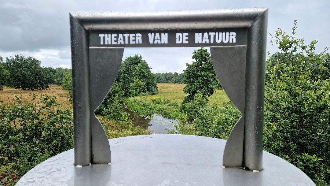 Wandelroute Sellingerbossen en Ter Borg