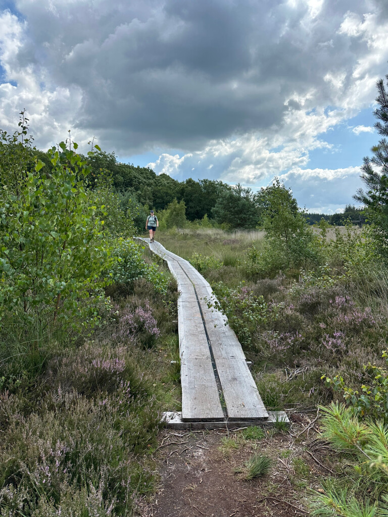 Wandelroute Sprokkelspoor