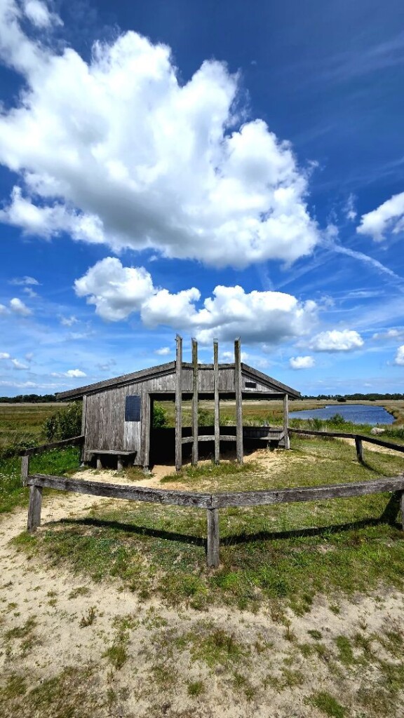 Kloosterhaar - Groen